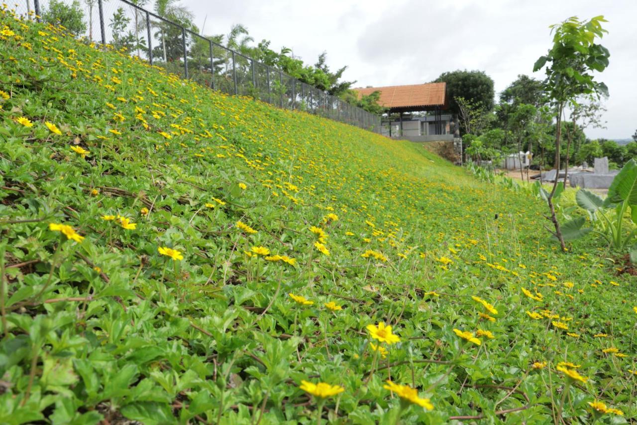 Holiday Valley Hotels And Resorts Denkanikottai Ngoại thất bức ảnh